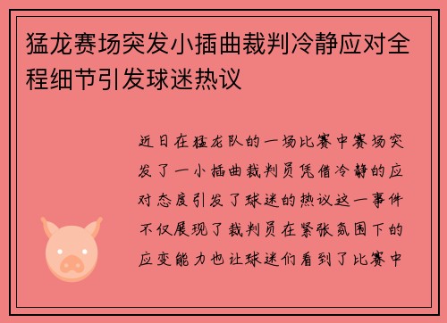猛龙赛场突发小插曲裁判冷静应对全程细节引发球迷热议 猛龙赛场突发小插曲裁判冷静应对全程细节引发球迷热议