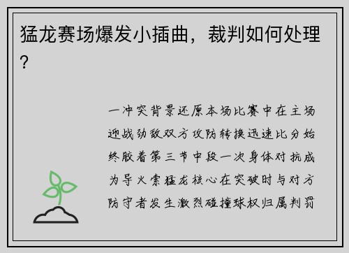 猛龙赛场爆发小插曲，裁判如何处理？